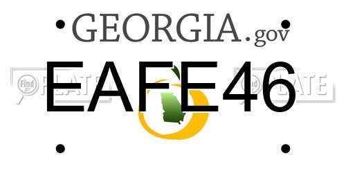 EAFE46 Georgia License Plate