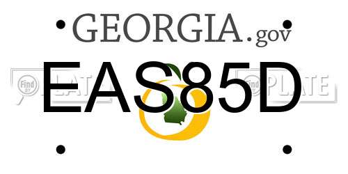 EAS85D Georgia License Plate