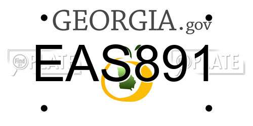 EAS891 Georgia License Plate