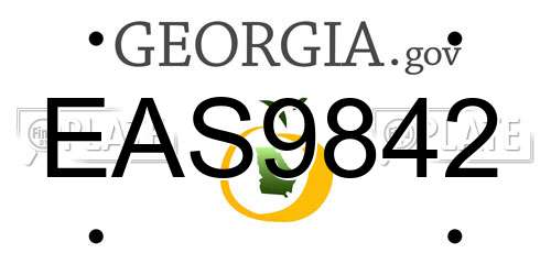 EAS9842 Georgia License Plate