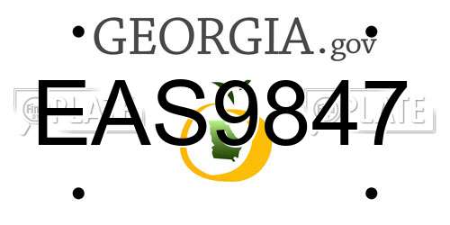 EAS9847 Georgia License Plate