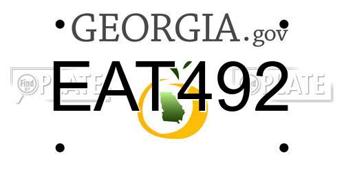 EAT492 Georgia License Plate