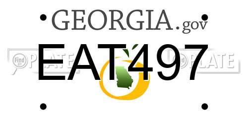 EAT497 Georgia License Plate