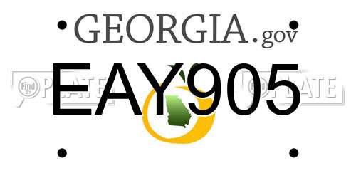 EAY905 Georgia License Plate