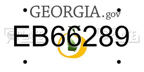 EB66289 Georgia License Plate