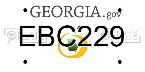 EBC229 Georgia License Plate