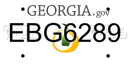EBG6289 Georgia License Plate
