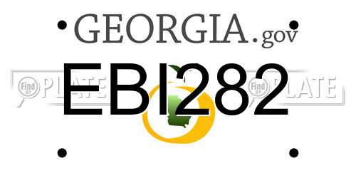 EBI282 Georgia License Plate