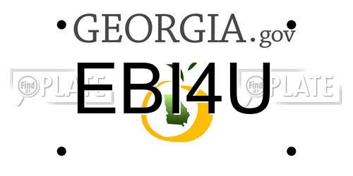 EBI4U Georgia License Plate