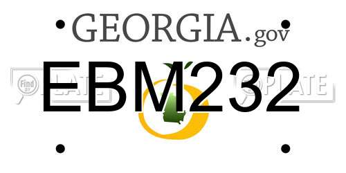 EBM232 Georgia License Plate