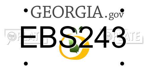 EBS243 Georgia License Plate