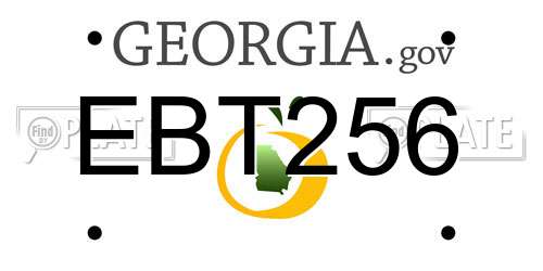 EBT256 Georgia License Plate