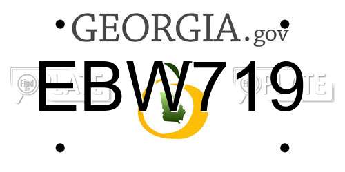 EBW719 Georgia License Plate