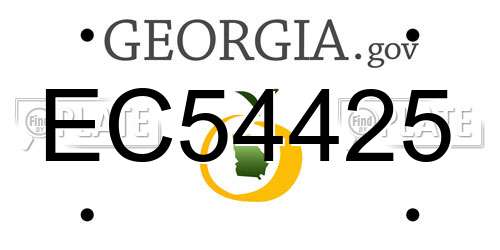 EC54425 Georgia License Plate