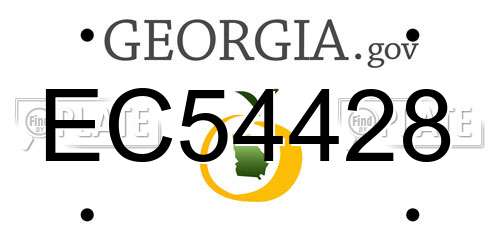 EC54428 Georgia License Plate