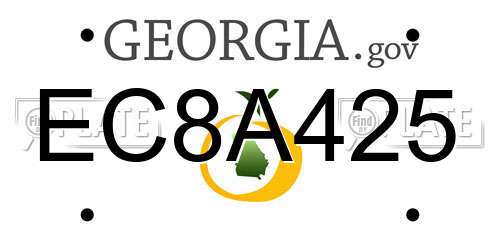 EC8A425 Georgia License Plate