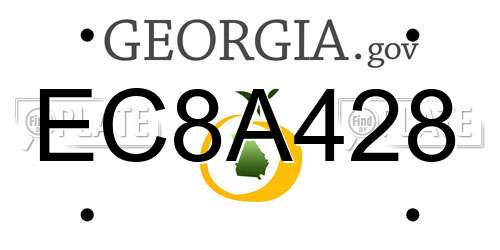 EC8A428 Georgia License Plate