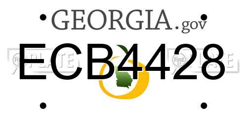 ECB4428 Georgia License Plate