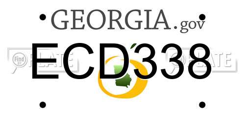 ECD338 Georgia License Plate