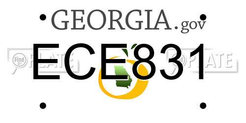 ECE831 Georgia License Plate