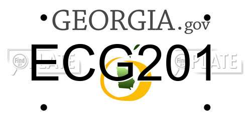 ECG201 Georgia License Plate