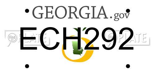 ECH292 Georgia License Plate