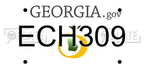 ECH309 Georgia License Plate