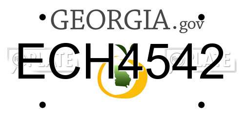 ECH4542 Georgia License Plate