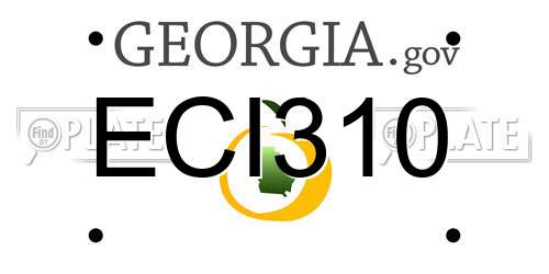 ECI310 Georgia License Plate