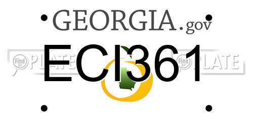 ECI361 Georgia License Plate