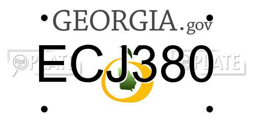 ECJ380 Georgia License Plate