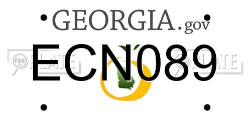 ECN089 Georgia License Plate