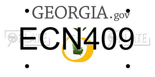 ECN409 Georgia License Plate