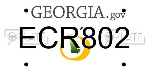 ECR802 Georgia License Plate