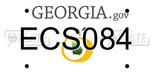 ECS084 Georgia License Plate