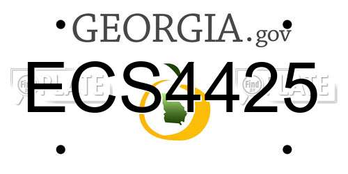 ECS4425 Georgia License Plate