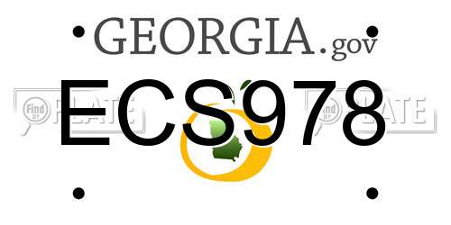 ECS978 Georgia License Plate