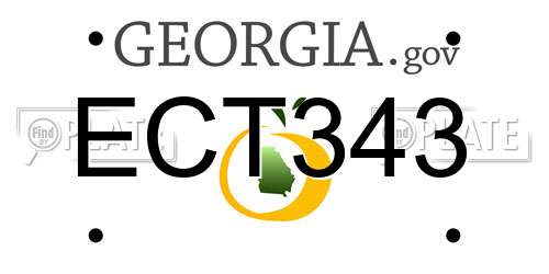 ECT343 Georgia License Plate