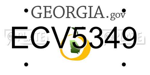ECV5349 Georgia License Plate