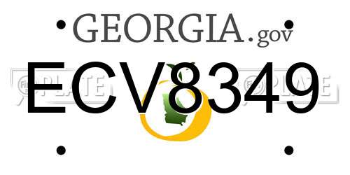 ECV8349 Georgia License Plate