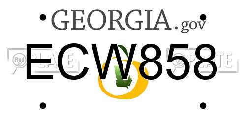 ECW858 Georgia License Plate