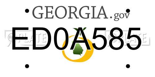 ED0A585 Georgia License Plate