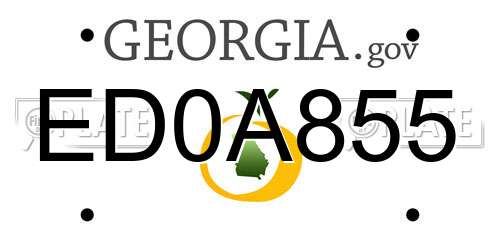 ED0A855 Georgia License Plate