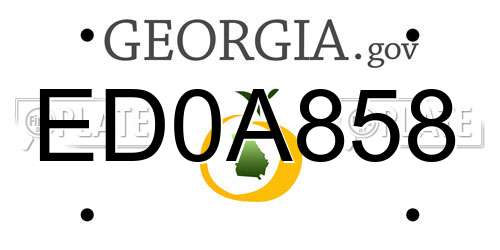 ED0A858 Georgia License Plate