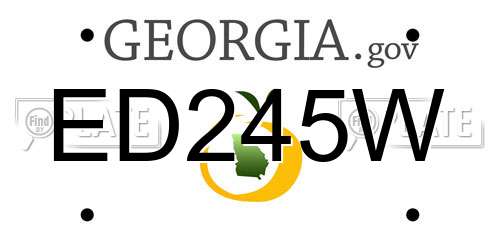 ED245W Georgia License Plate