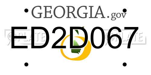 ED2D067 Georgia License Plate