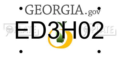 ED3H02 Georgia License Plate