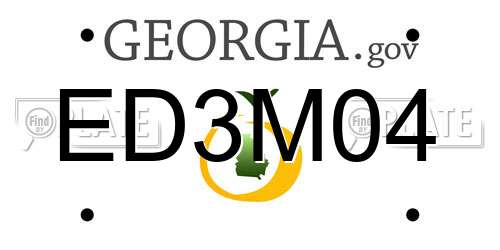 ED3M04 Georgia License Plate