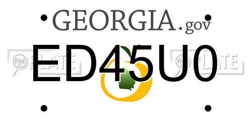 ED45U0 Georgia License Plate