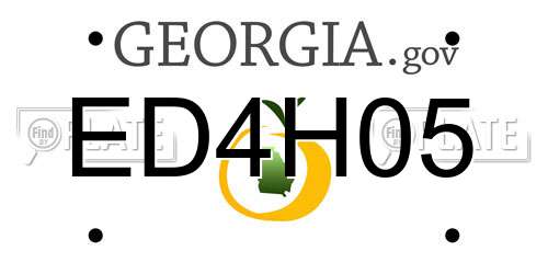 ED4H05 Georgia License Plate